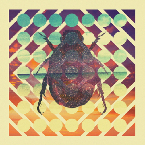 Beardyman Distractions (CD) Album