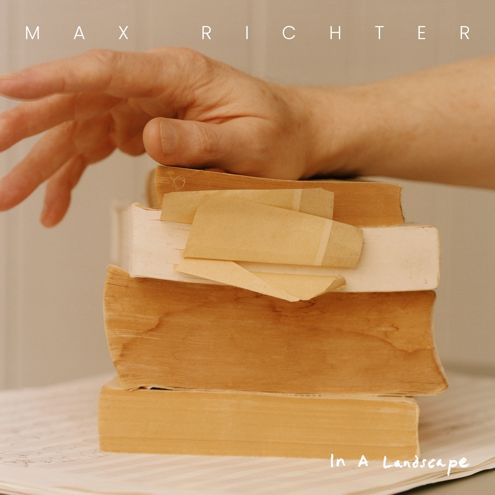 Max Richter Max Richter: In a Landscape (Vinyl LP) 12" Album