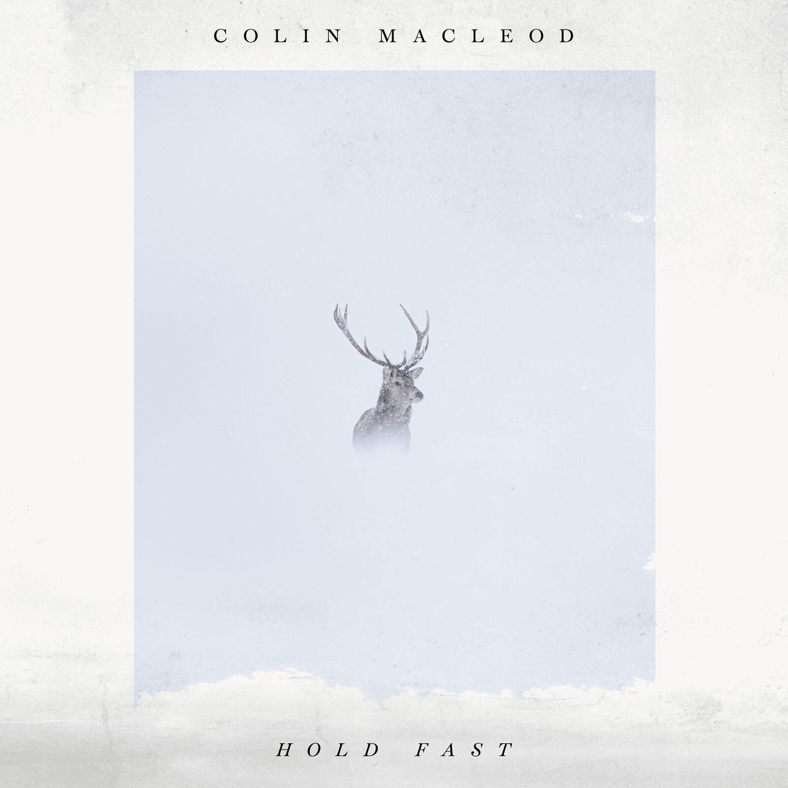 Colin Macleod Hold Fast (CD) Album