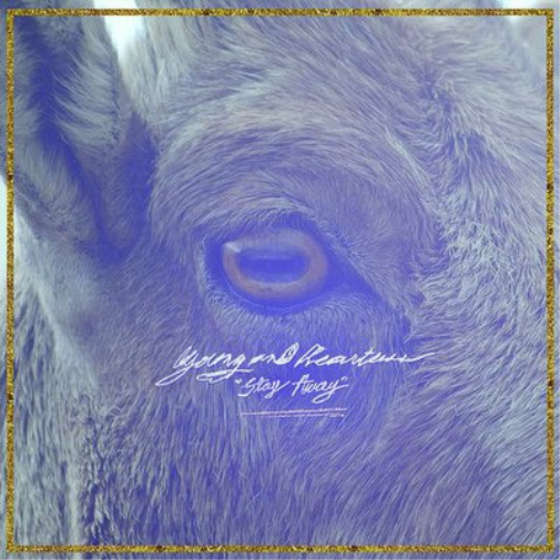 Young and Heartless Stay Away (CD) Album