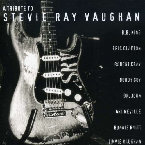 Various Artists A Tribute to Stevie Ray Vaughan (CD)