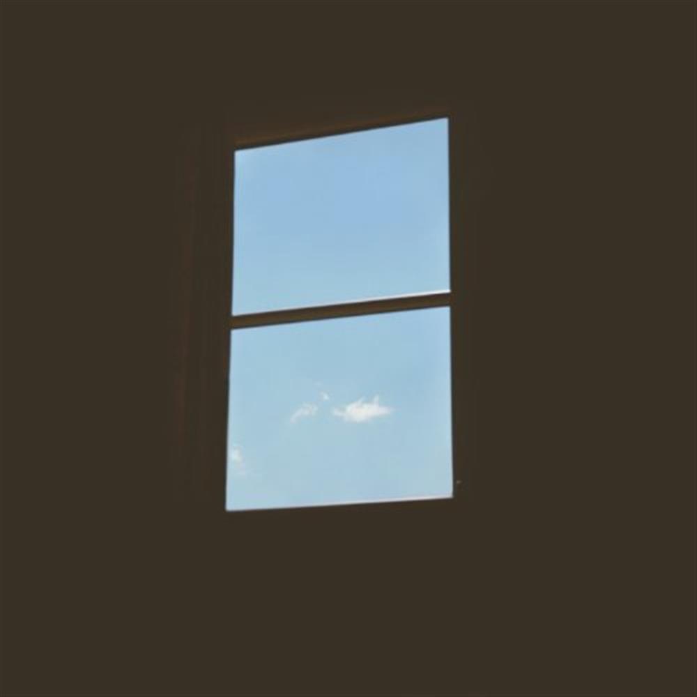 Centres - Urban Homes (Vinile)