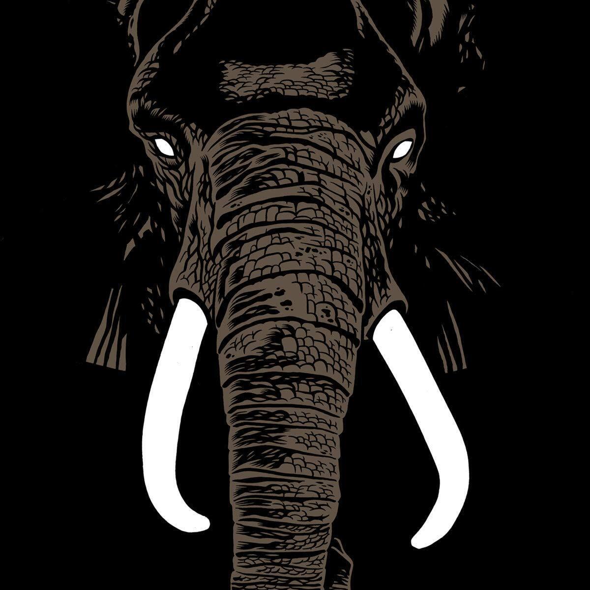 Vinile Palm Unit - Don'T Buy Ivory Anymore