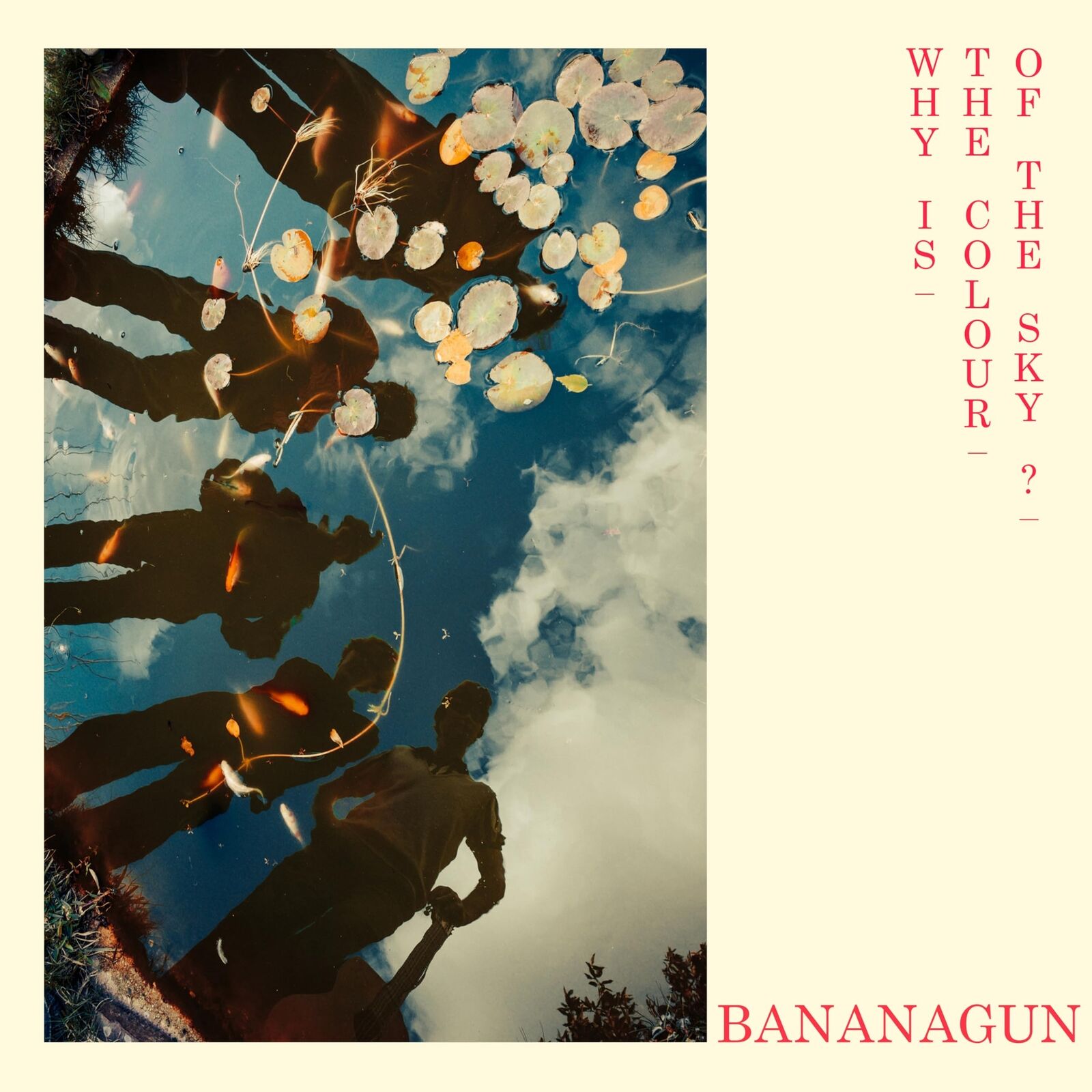 Bananagun Why Is the Colour of the Sky? LP Vinyl FTH534LP NEW