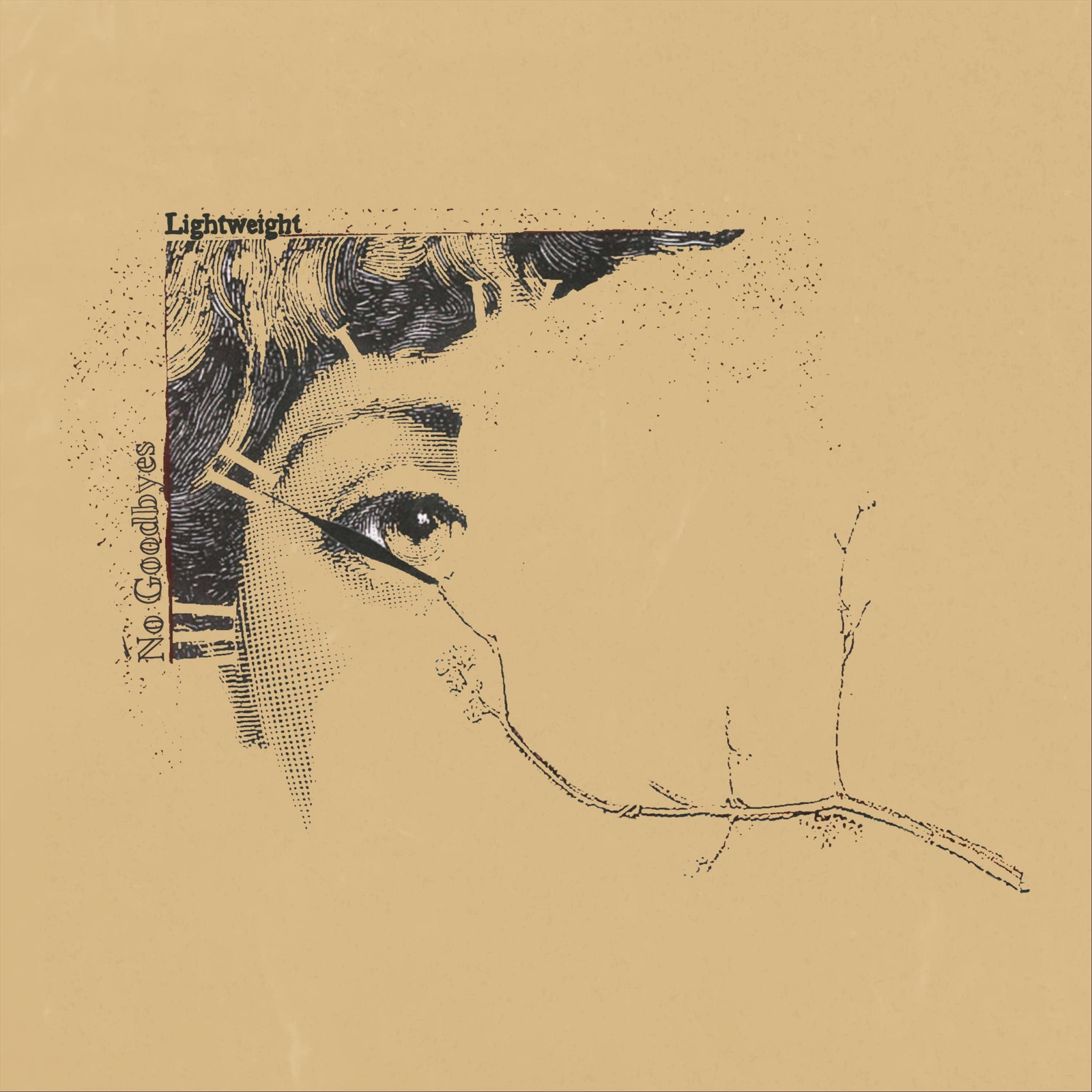 Lightweight No Goodbyes (Vinyl LP) 12" Album
