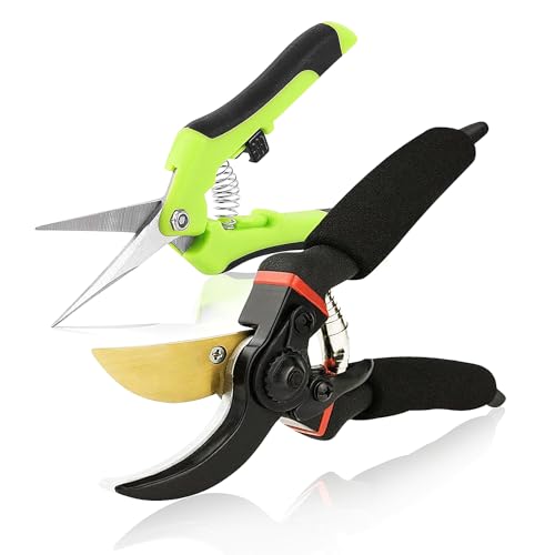 2 Cesoie Da Giardino, Forbici Da Potatura In Acciaio Sk5, Taglienti, Multifunzionali, Ergonomiche, Per Rami, Fiori, Rose, Frutta, Piante, Siepi, Utens