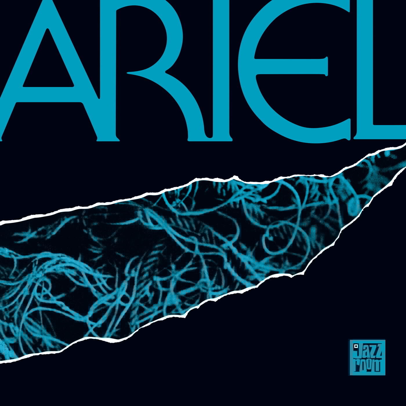 Ariel Ariel (Vinyl LP) 12" Album