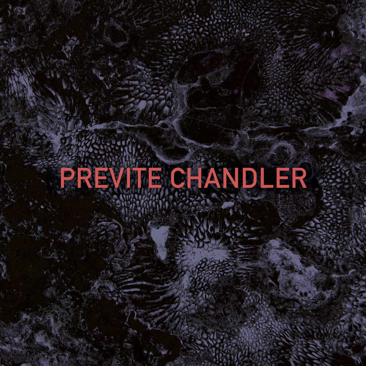 Previte Chandler Previte Chandler (CD) Album Digipak