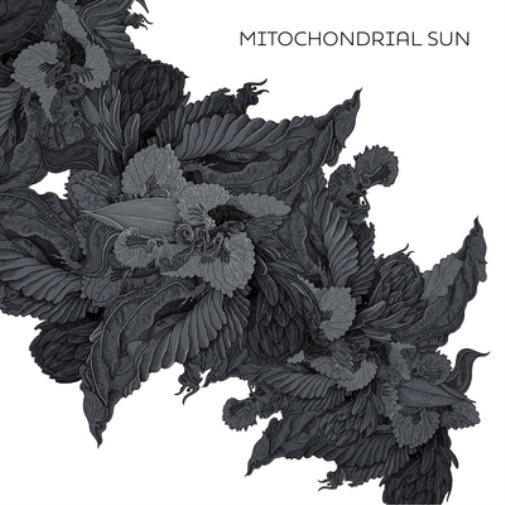 Mitochondrial Sun Mitochondrial Sun (CD) Album