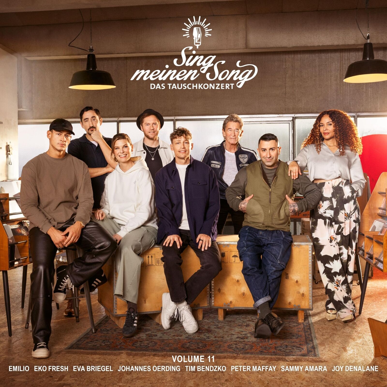 Various Artists Sing Meinen Song - das Tauschkonzert Vol.11 Deluxe (CD)