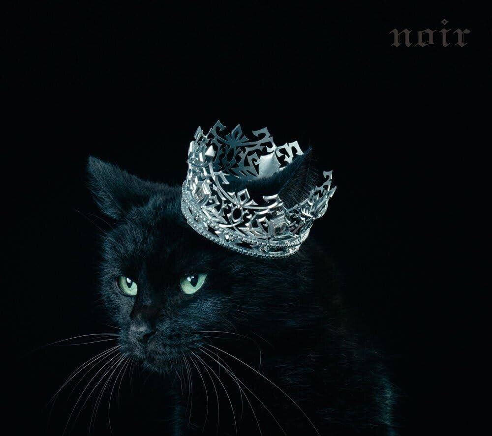 New Aimer BEST SELECTION noir First Limited Edition A CD Blu-ray SECL-2144 Japan