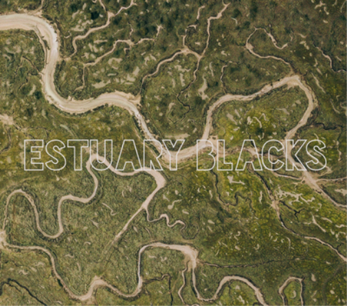 Estuary Blacks Estuary Blacks (CD) Album