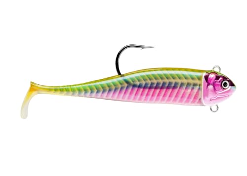 Biscay Minnow 12-10G Ssdl