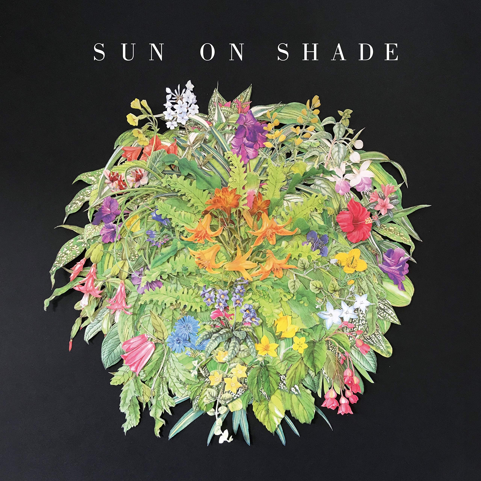 Sun on Shade Sun on Shade (CD)