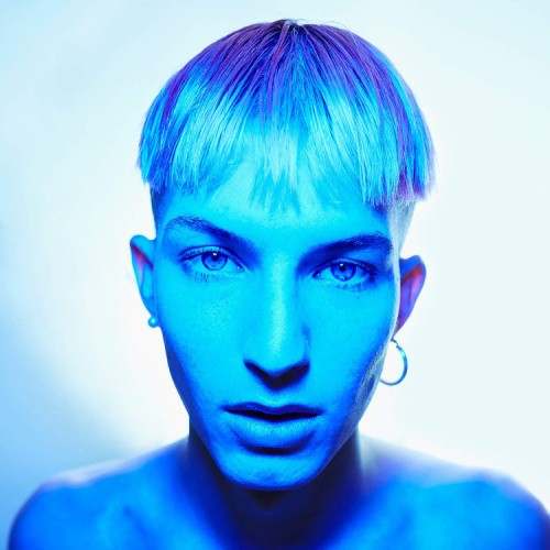 Where Polly People Go to Read by Gus Dapperton