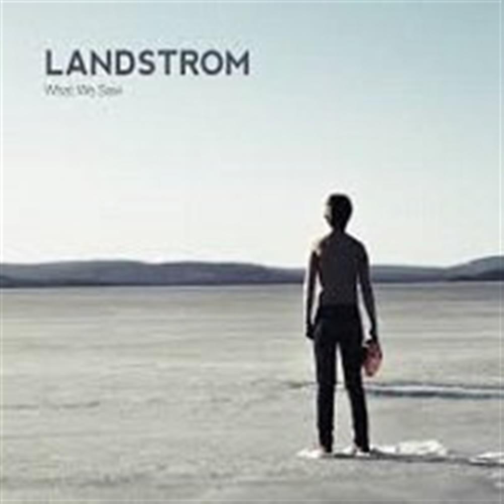 What We Saw - Landstrom (Audio cd)