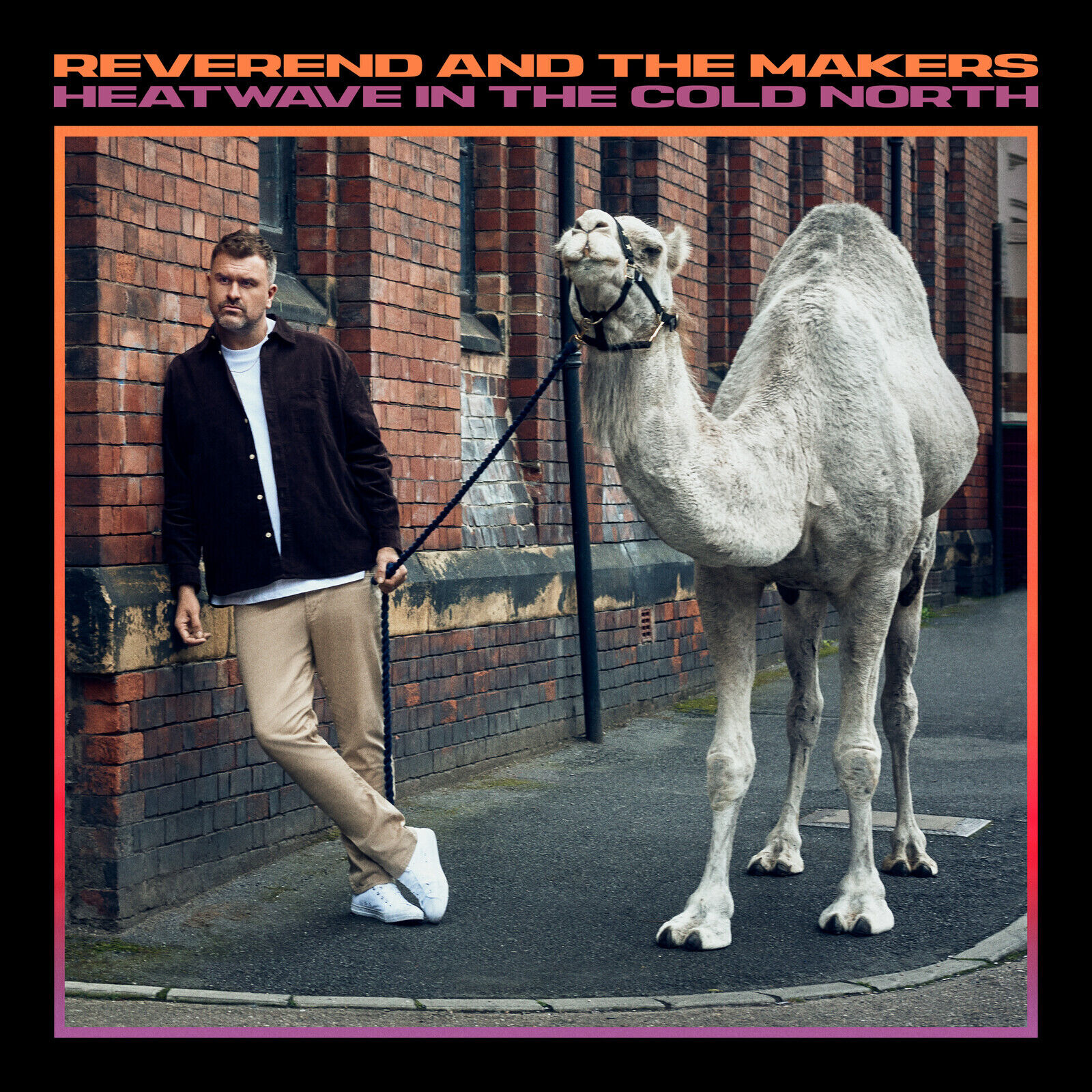 Reverend And The Makers Heatwave In The Cold North LP Vinyl DTIL130V NUOVO