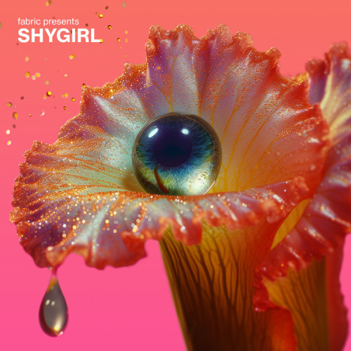 Fabric Presents Shygirl by Various Artists