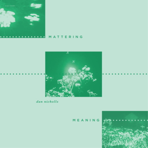 Dan Nicholls Mattering and Meaning (Vinyl LP) 12" Album