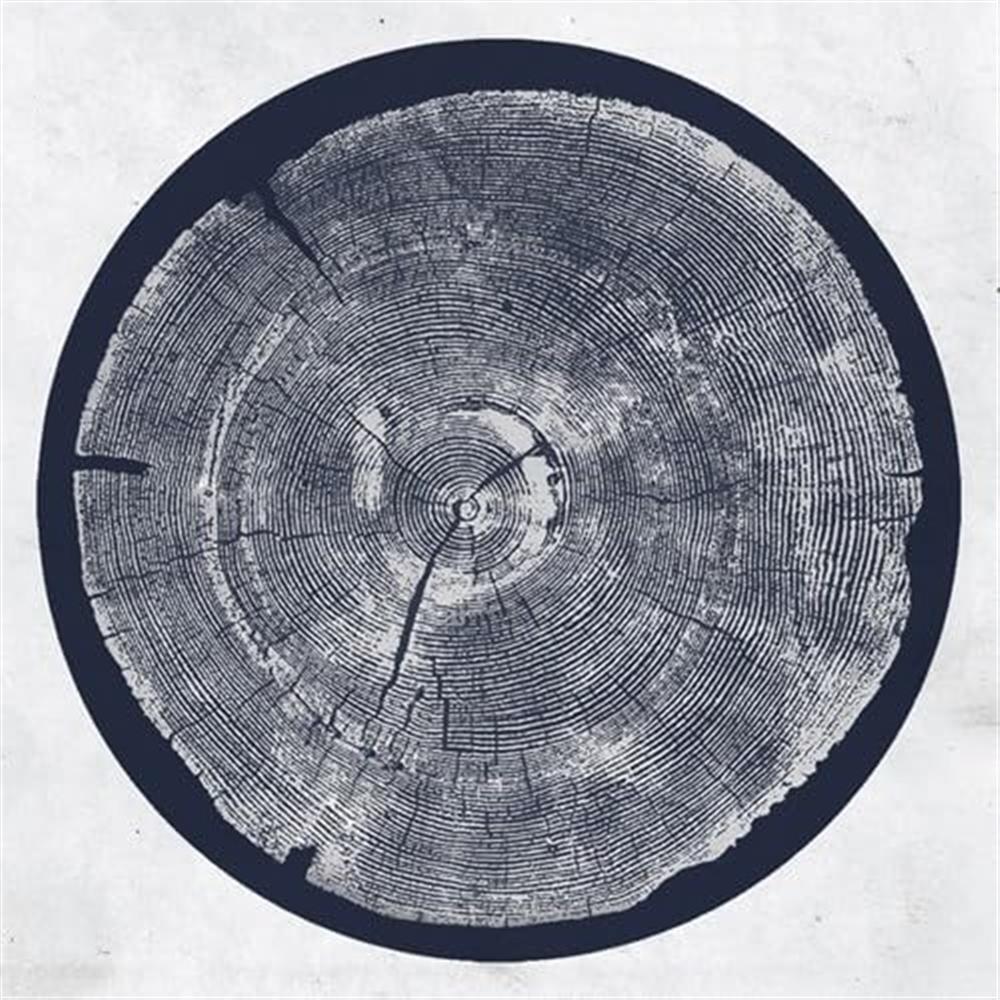R: Tropic Of Anodyne - Roy Montgomery (Vinile)
