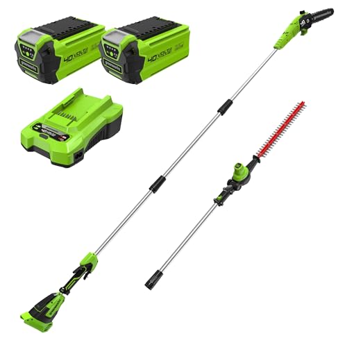 Greenworks 40V Sega E Tagliasiepi Ad Asta A Batteria 2 In 1, Motore Brushless Da 30 Cm, Lama A Doppia Azione Da 51 Cm, Batteria Da 2 E Caricabatterie