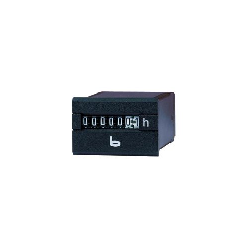 Bauser 250.2 250.2/942-001-1-1-001 Microore Di Funzionamento 250.2
