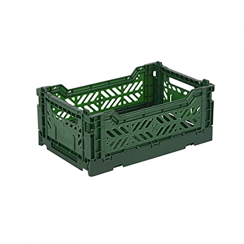 Ay-Kasa Cassetta Pieghevole, Stabile In Plastica, Impilabile, Verde Scuro, Mini (27 X 17 X 11 Cm)