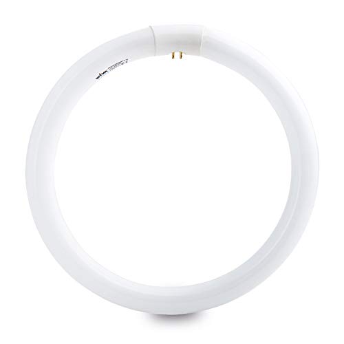 Wiva Group Trifosforo 40W 40W G10Q Bianco Lampada Fluorescente