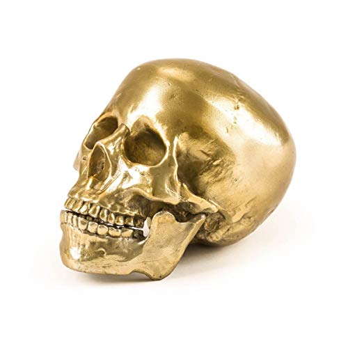 Seletti Teschio In Alluminio Diesel-Human Skull Cm.13X20 H.15