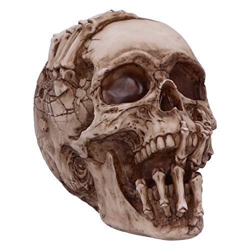 Nemesis Now Ornamento Con Scheletro Di Teschio Che Scoppia Con Licenza Ufficiale James Ryman, Resina, Naturale, 20 Cm