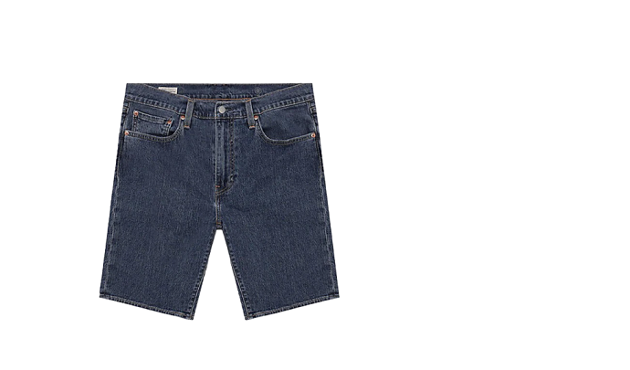 Bermuda Uomo Levi's Art 39864