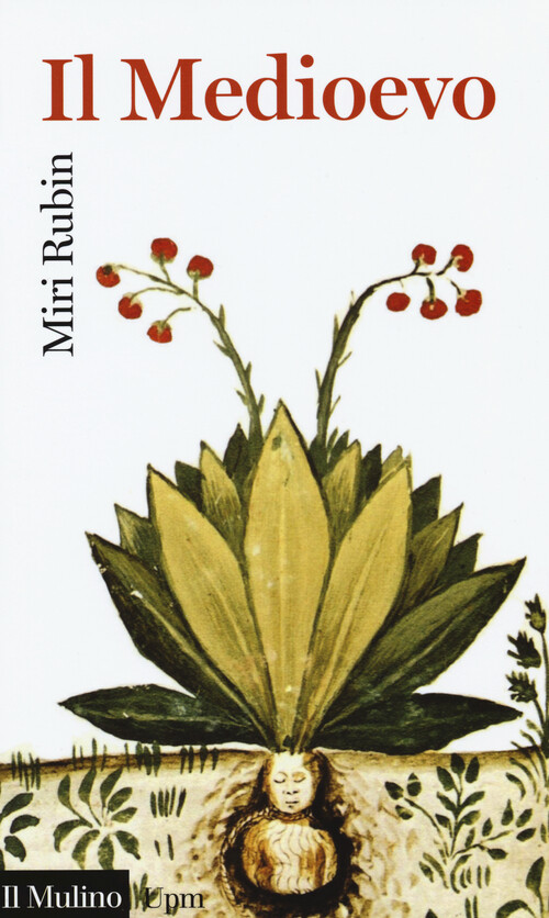 Medioevo - Miri Rubin - 2016