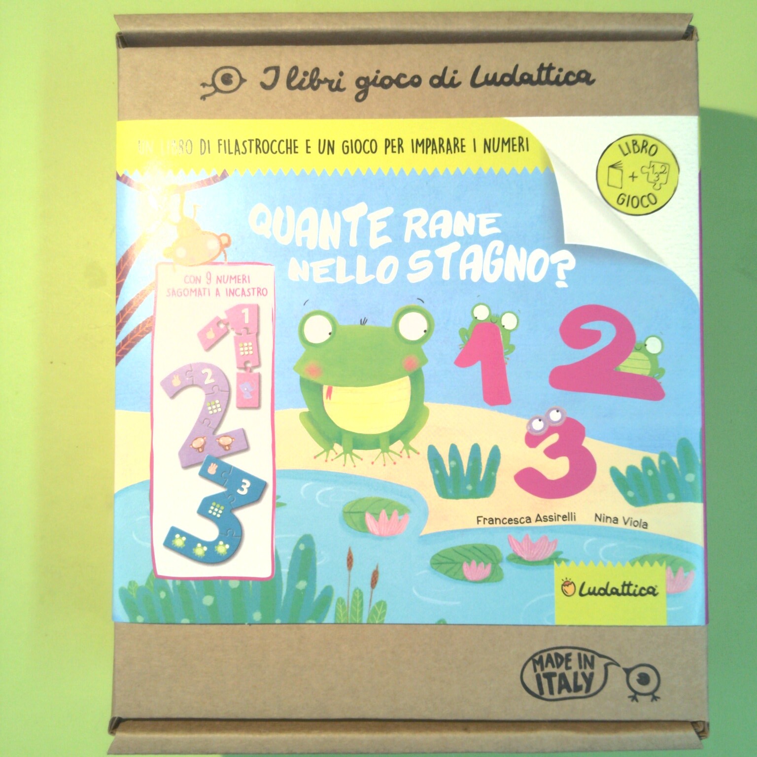 QUANTE RANE NELLO STAGNO? LIBRO GIOCO LUDATTICA