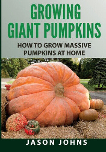 Growing Giant Pumpkins - How To Grow Massive Pumpkins At Home: Secrets For