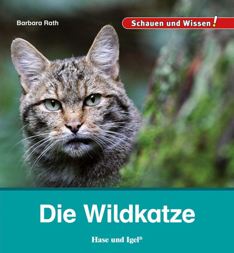 Die Wildkatze [German] by Rath, Barbara