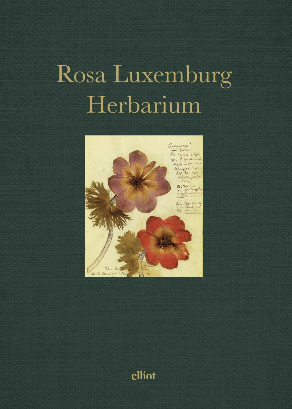 Herbarium - Luxemburg Rosa