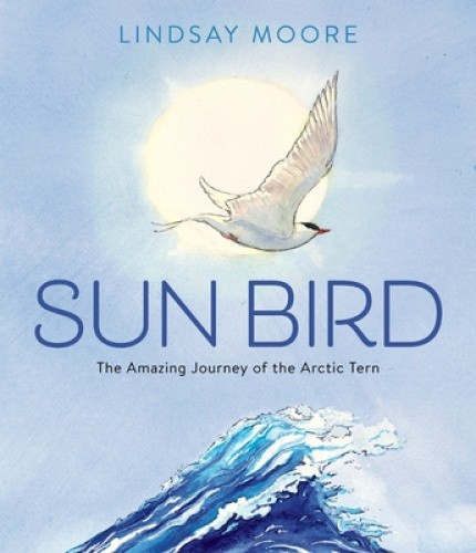 Sun Bird: The Amazing Journey of the Arctic Tern by Lindsay Moore
