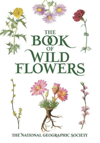 The Book of Wild Flowers: Color Plates of 250 Wild Flowers and Grasses