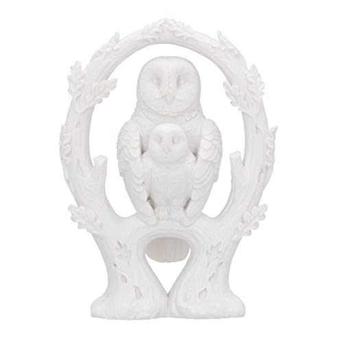 Nemesis Now Embrace Owl Figurine, Bianco, 10,9 Cm