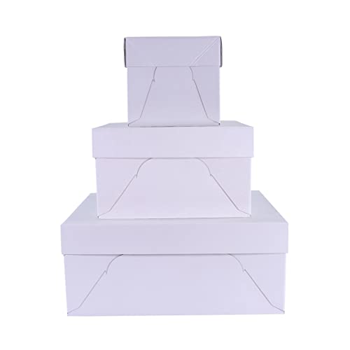Pme Baking Essentials - Scatole Per Torta Da 30 Cm (12 Pollici), 3 Pezzi