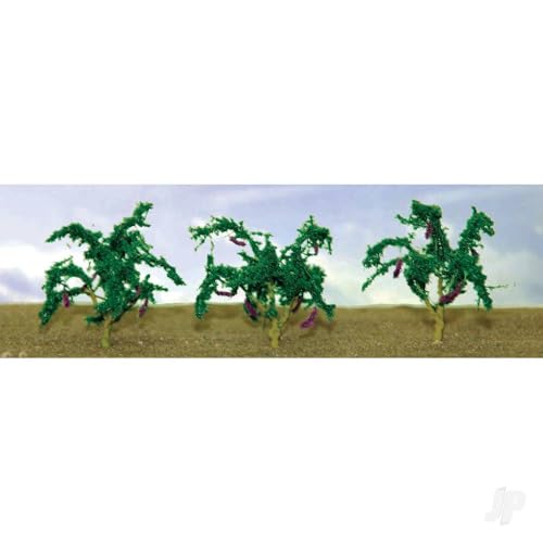 Piante Melanzane, 3/4" (6)