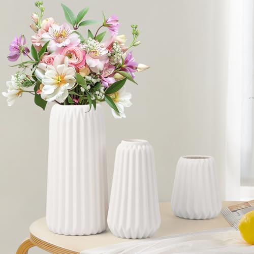 Vaso In Ceramica Bianca Da 3 Pezzi, Blumacht Fiori Secchi Pampas Erba Vasi Per Centrotavola Bouquet, Moderno Ingresso Tavolo Mensola Camera Da Letto S