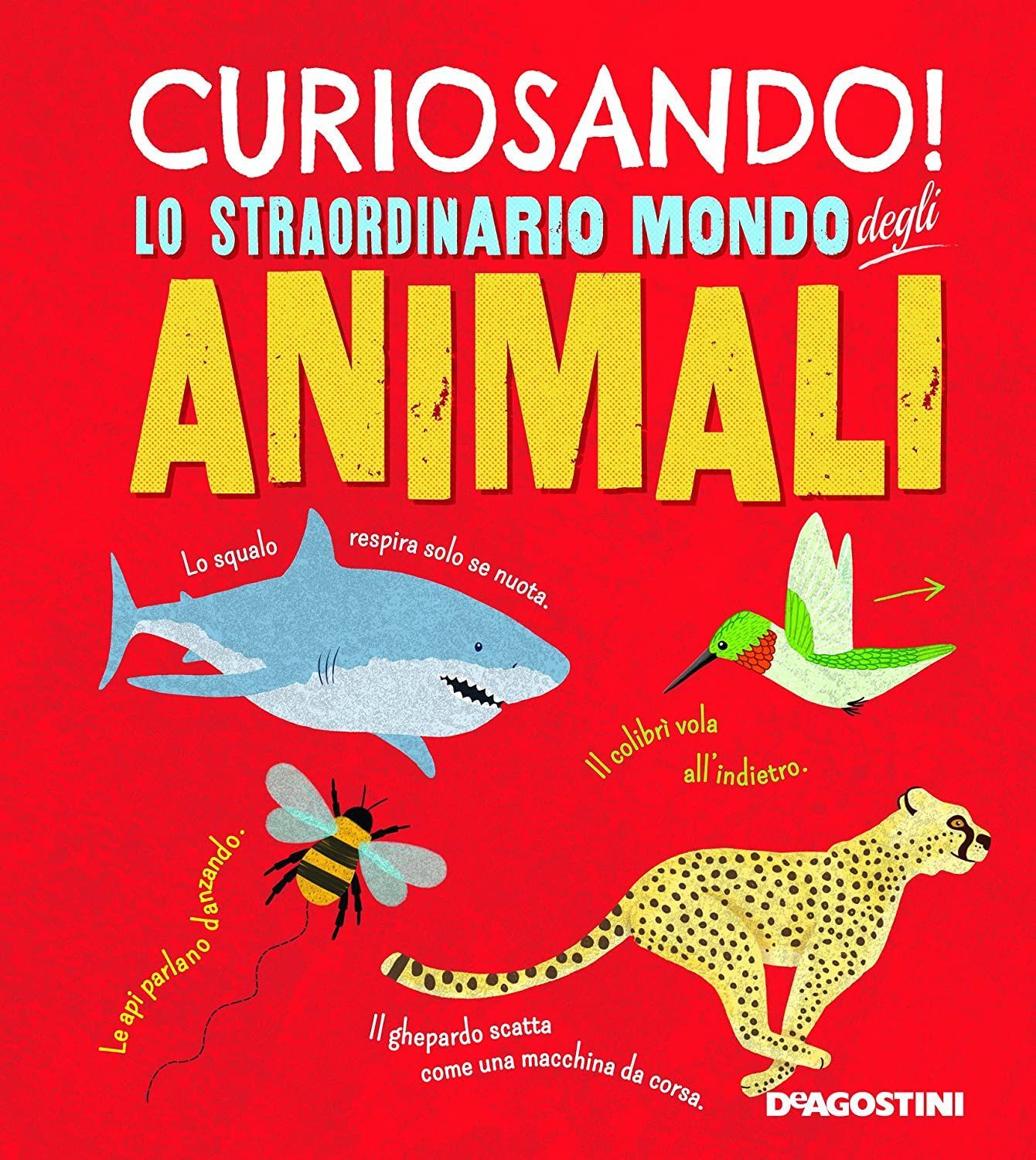 Libri Clare Hibbert - Curiosando! Lo Straordinario Mondo Degli Animali