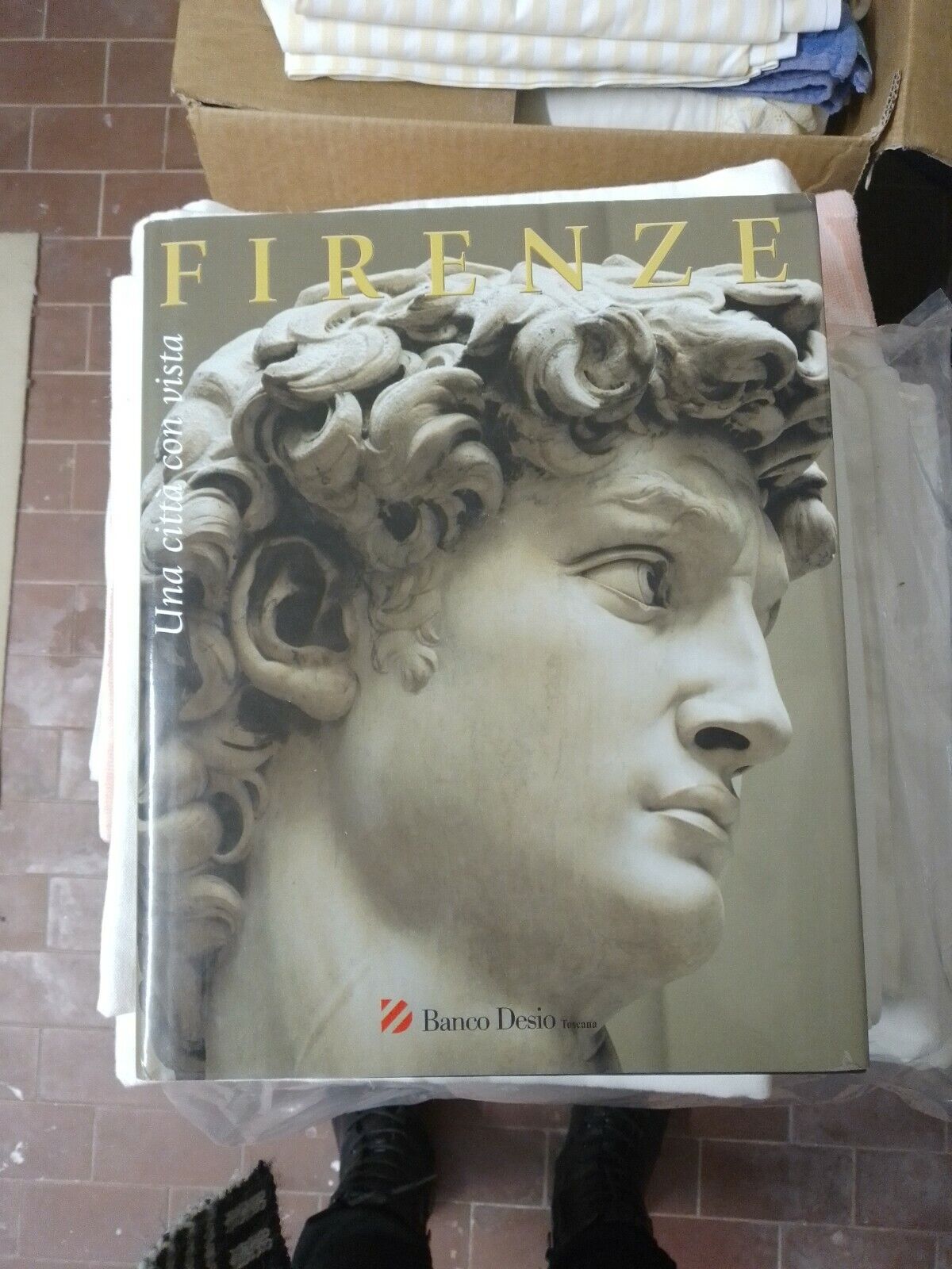 Libro " Firenze - Una Città con Vista" -  Prima Edizione 2001