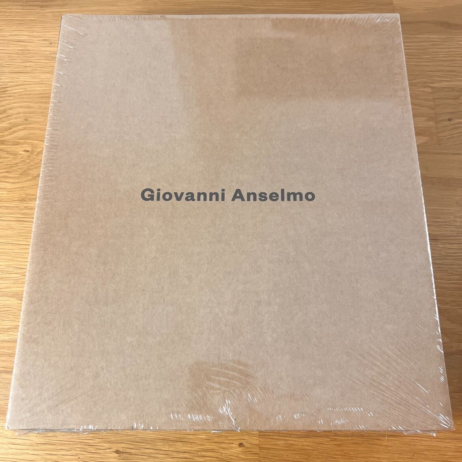 Giovanni Anselmo, Leggere (Catalogo Skira 2016)
