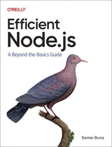 Efficient Node.js: A Beyond The Basics Guide by Samer Buna