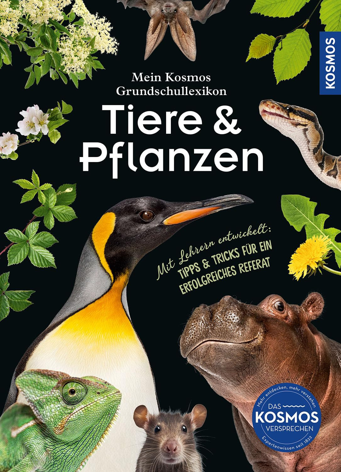 Ilka Sokolowski Mein Kosmos Grundschullexikon Tiere & Pflanze (Copertina rigida)