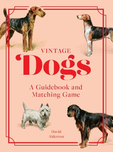 David Alderton Vintage Dogs (Mixed Media Product) (PRESALE 22/04/2025)