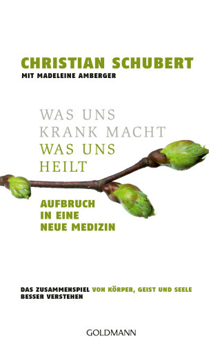 Was uns krank macht - Was uns heilt [German] by Schubert, Christian
