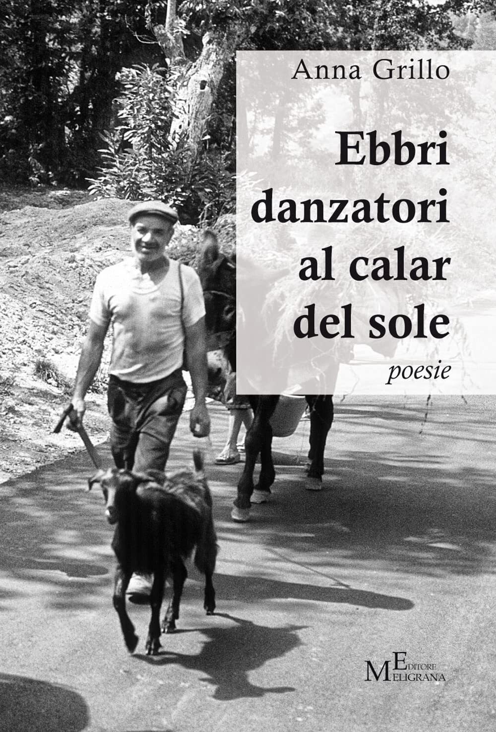 9788868154196 Ebbri danzatori al calar del sole - Anna Grillo
